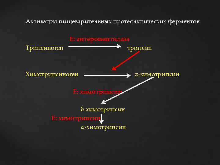 Активация пищеварительных протеолитических ферментов: Е: энтеропептидаза Трипсиноген трипсин Химотрипсиноген -химотрипсин Е: химотрипсин δ-химотрипсин Е: