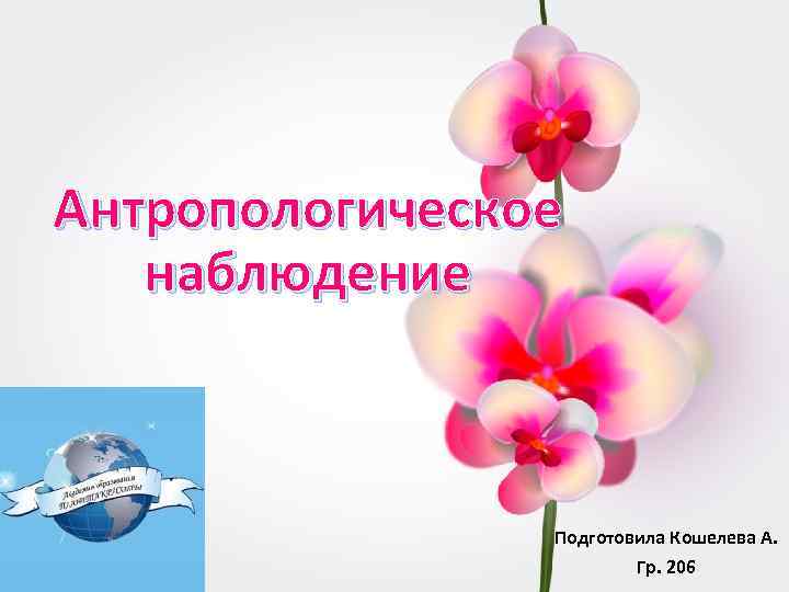 Антропологическое наблюдение Подготовила Кошелева А. Гр. 206 
