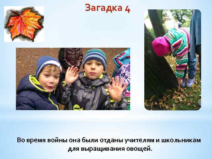 Загадка 4 Во время войны она были отданы учителям и школьникам для выращивания овощей.