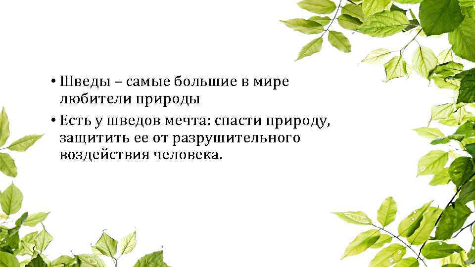  • Шведы – самые большие в мире любители природы • Есть у шведов