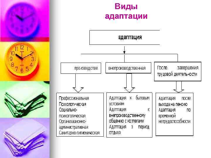 Виды адаптации 