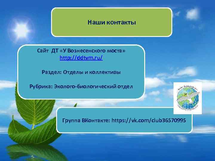 Наши контакты Сайт ДТ «У Вознесенского моста» http: //ddtvm. ru/ Раздел: Отделы и коллективы