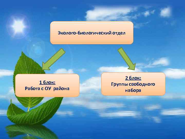 Эколого-биологический отдел 1 блок: Работа с ОУ района 2 блок: Группы свободного набора 