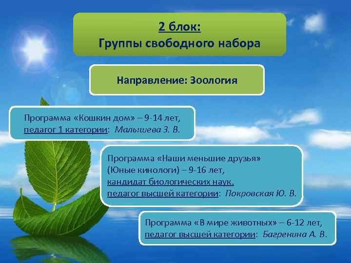 2 блок: Группы свободного набора Направление: Зоология Программа «Кошкин дом» – 9 -14 лет,