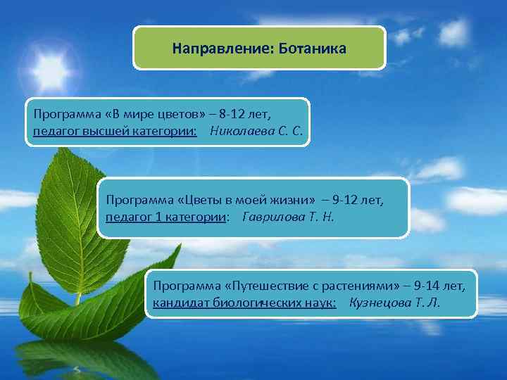 Направление: Ботаника Программа «В мире цветов» – 8 -12 лет, педагог высшей категории: Николаева