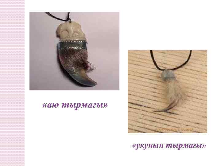  «аю тырмағы» «укунын тырмағы» 