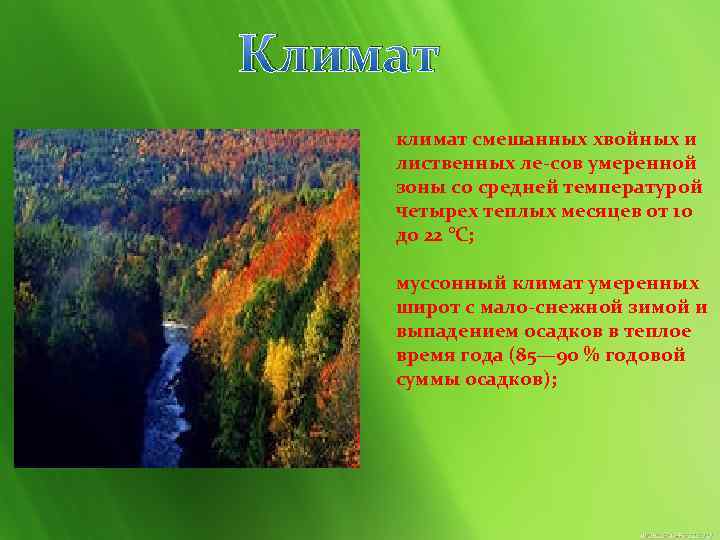 План рассказа о природной зоне тайги