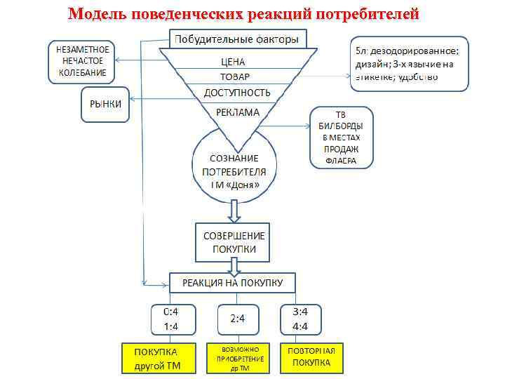 Модель поведенческих реакций потребителей 