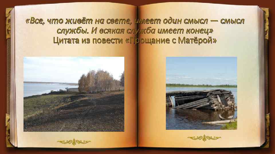  «Все, что живёт на свете, имеет один смысл — смысл службы. И всякая