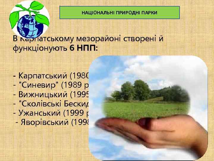 НАЦІОНАЛЬНІ ПРИРОДНІ ПАРКИ В Карпатському мезорайоні створені й функціонують 6 НПП: НПП - Карпатський