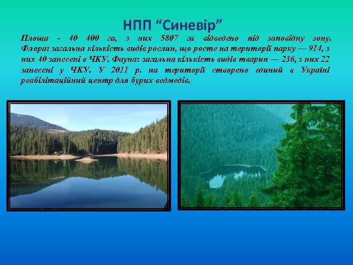 НПП “Синевір” Площа - 40 400 га, з них 5807 га відведено під заповідну