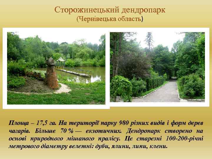 Сторожинецький дендропарк (Чернівецька область) область Площа – 17, 5 га. На території парку 980