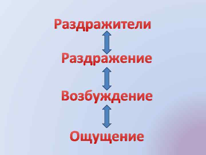 Раздражители Раздражение Возбуждение Ощущение 