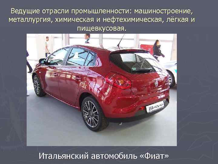 Ведущие отрасли промышленности: машиностроение, металлургия, химическая и нефтехимическая, лёгкая и пищевкусовая. Итальянский автомобиль «Фиат»