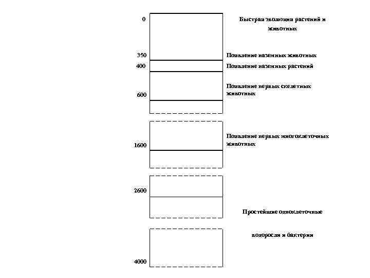  0 Быстрая эволюция растений и животных 350 Появление наземных животных 400 Появление наземных