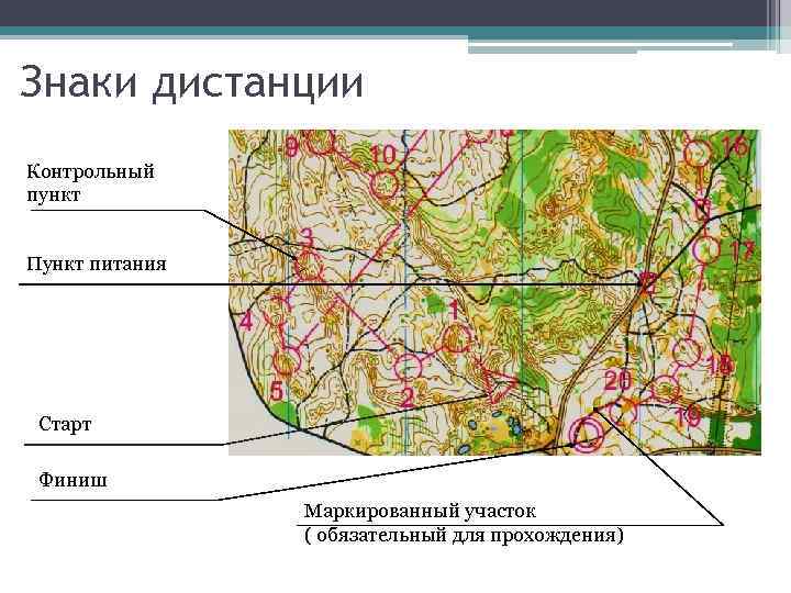 Чем отличается топографическая карта от спортивной