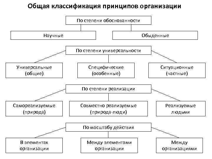 Степень организации