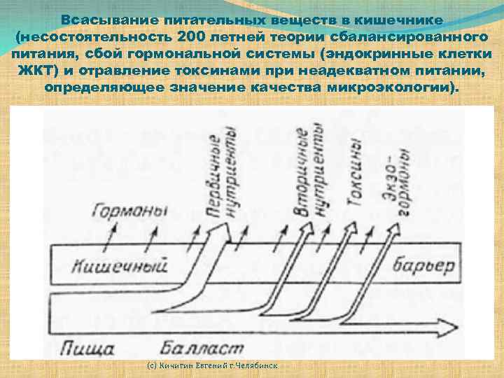 Всасывание питательных веществ в кишечнике (несостоятельность 200 летней теории сбалансированного питания, сбой гормональной системы