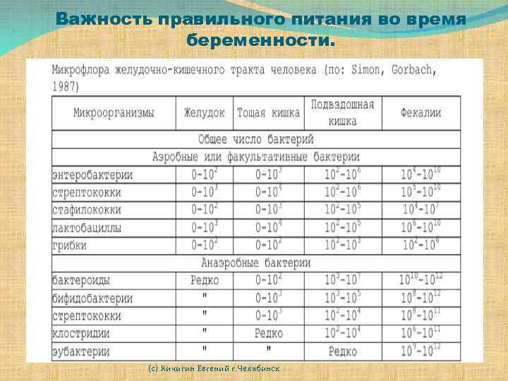 Важность правильного питания во время беременности. (с) Кичигин Евгений г. Челябинск 