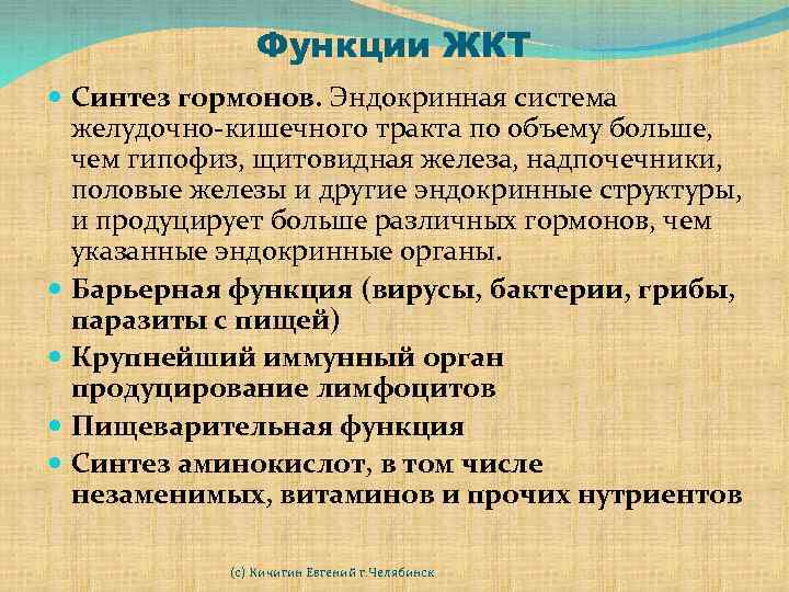 Функции ЖКТ Синтез гормонов. Эндокринная система желудочно-кишечного тракта по объему больше, чем гипофиз, щитовидная