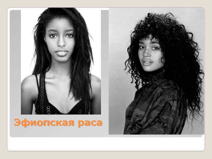 Эфиопская раса 