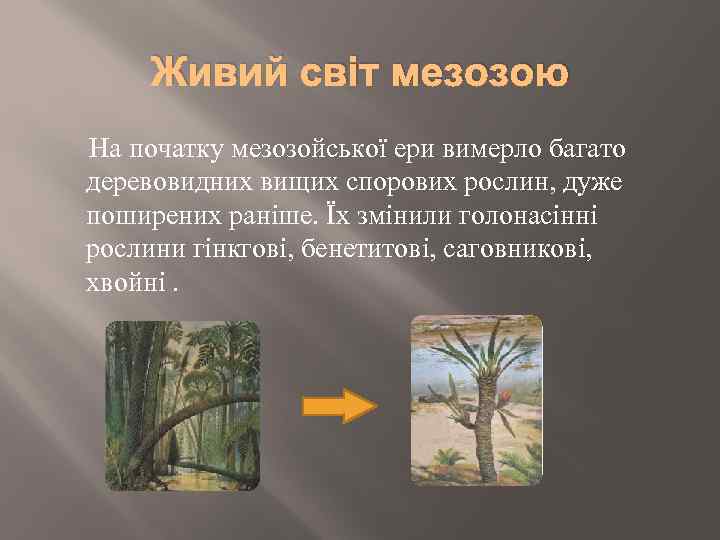 Живий світ мезозою На початку мезозойської ери вимерло багато деревовидних вищих спорових рослин, дуже
