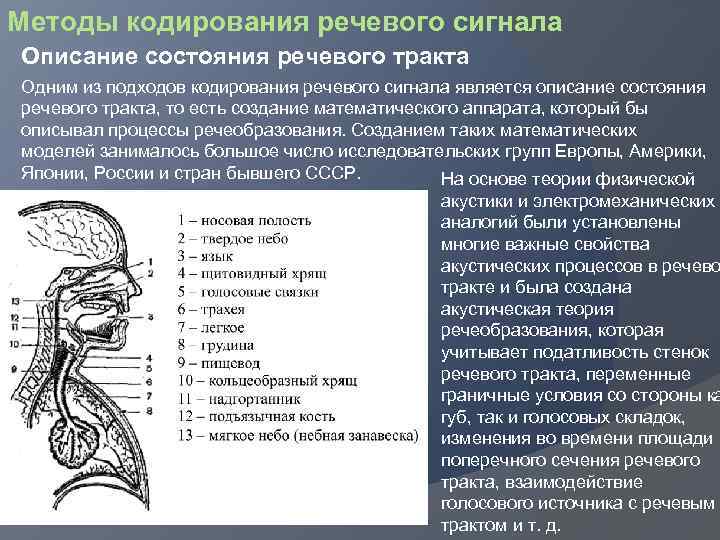 Методы кодирования речевого сигнала Описание состояния речевого тракта Одним из подходов кодирования речевого сигнала