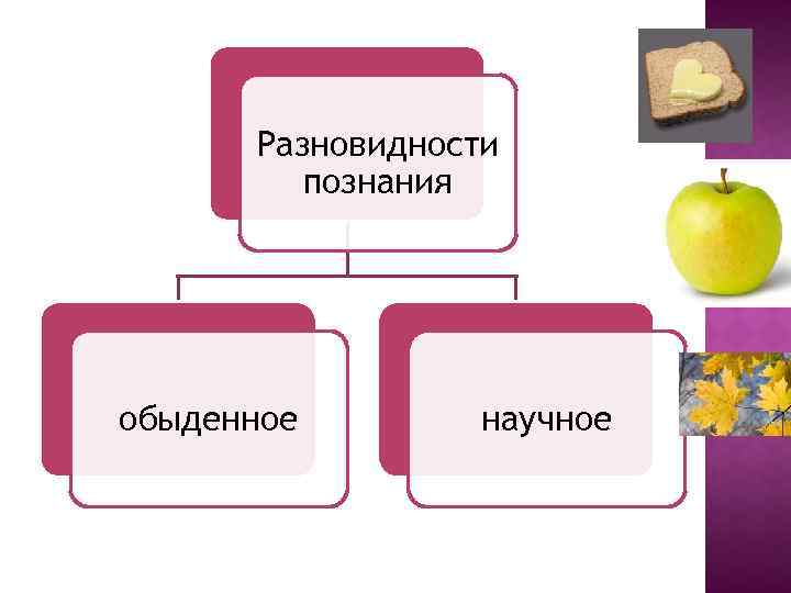 Разновидности познания обыденное научное 