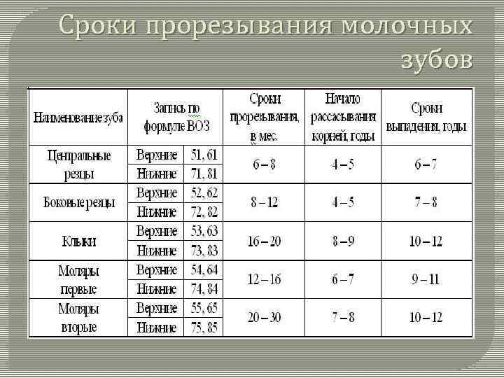 Сроки прорезывания молочных зубов 