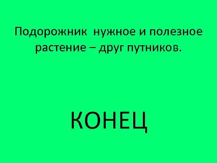 Подорожник нужное и полезное растение – друг путников. КОНЕЦ 