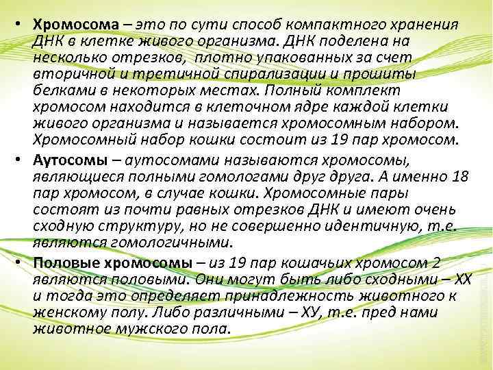  • Хромосома – это по сути способ компактного хранения ДНК в клетке живого