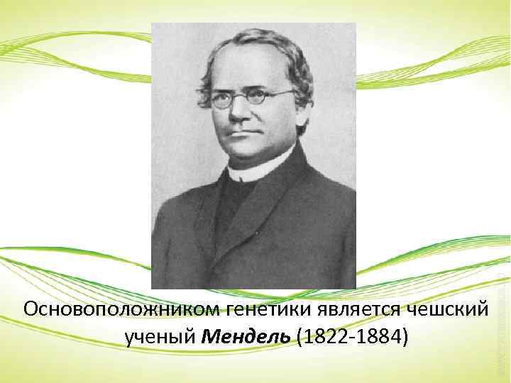 Основоположником генетики является чешский ученый Мендель (1822 -1884) 