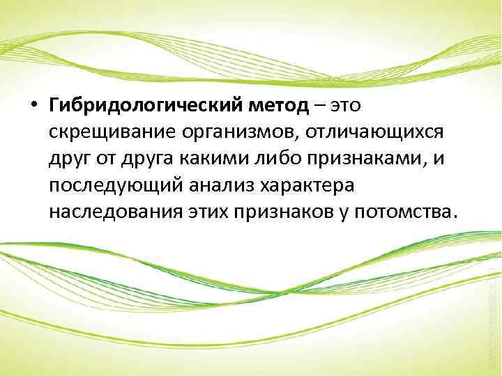  • Гибридологический метод – это скрещивание организмов, отличающихся друг от друга какими либо