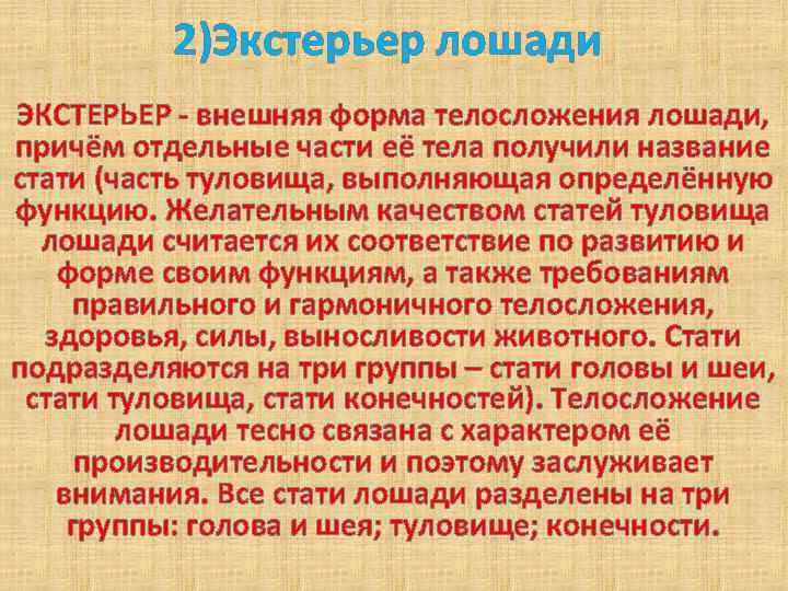 2)Экстерьер лошади ЭКСТЕРЬЕР - внешняя форма телосложения лошади, причём отдельные части её тела получили