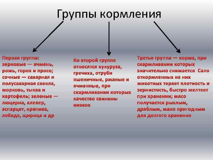 Группы кормления Первая группа: зерновые — ячмень, рожь, горох и просо; сочные — сахарная