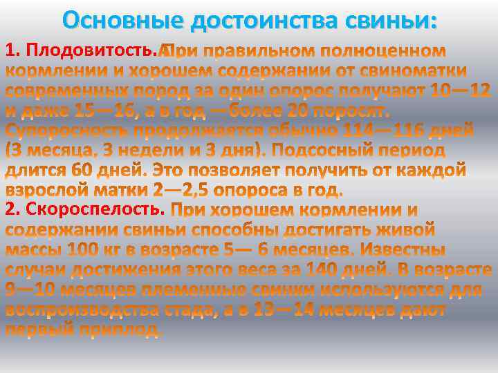 Основные достоинства свиньи: 1. Плодовитость. 2. Скороспелость. 