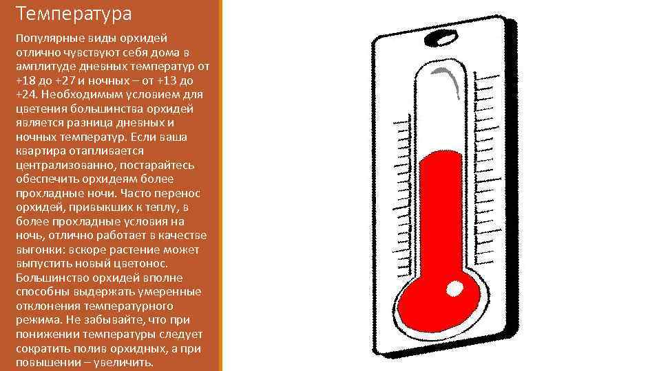 Температура Популярные виды орхидей отлично чувствуют себя дома в амплитуде дневных температур от +18