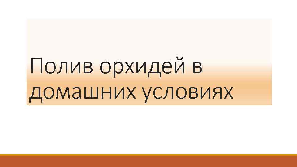 Полив орхидей в домашних условиях 