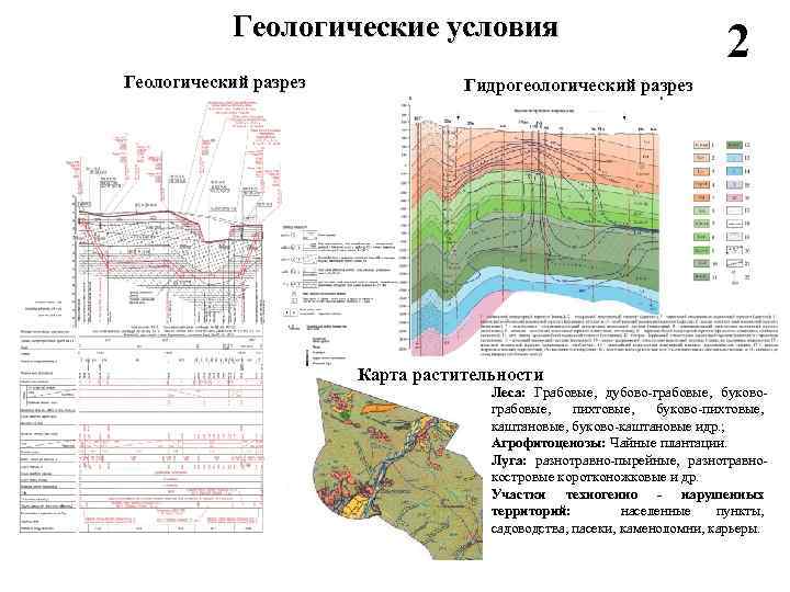 Геологические условия Геологический разрез 2 Гидрогеологический разрез Карта растительности Леса: Грабовые, дубово-грабовые, буковограбовые, пихтовые,