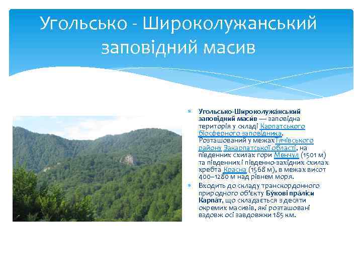 Угольсько - Широколужанський заповідний масив У гольсько-Широколужа нський запові дний маси в — заповідна