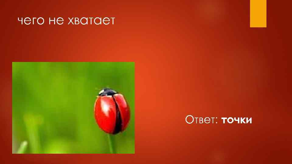 чего не хватает Ответ: точки 