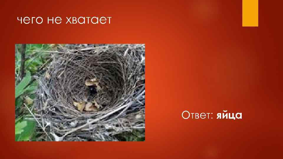 чего не хватает Ответ: яйца 