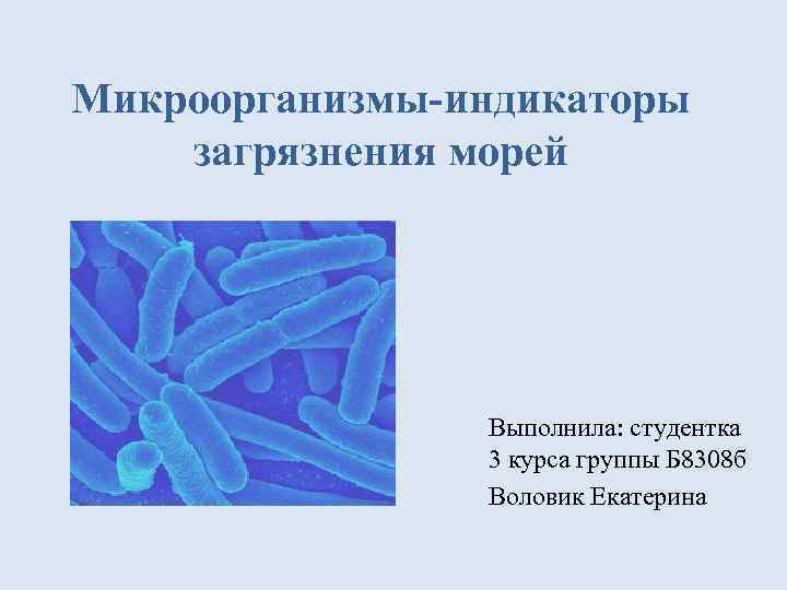 Микроорганизмы-индикаторы загрязнения морей Выполнила: студентка 3 курса группы Б 8308 б Воловик Екатерина 