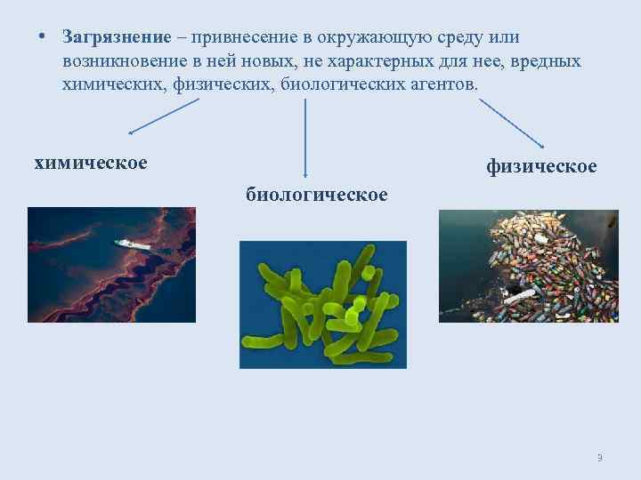 Физическое биологическое