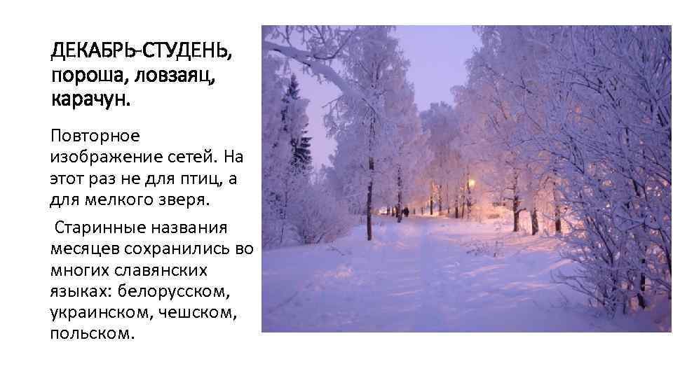 ДЕКАБРЬ-СТУДЕНЬ, пороша, ловзаяц, карачун. Повторное изображение сетей. На этот раз не для птиц, а