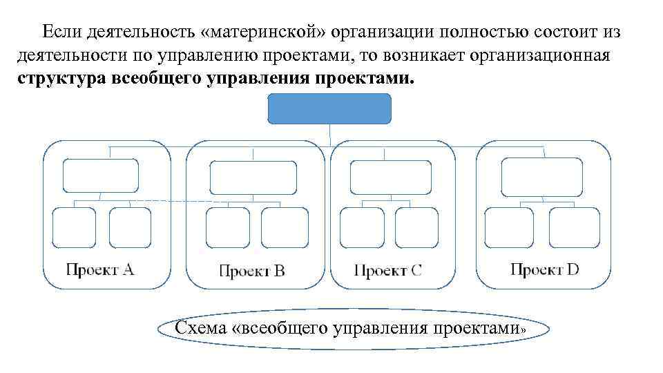 Если деятельность «материнской» организации полностью состоит из деятельности по управлению проектами, то возникает организационная