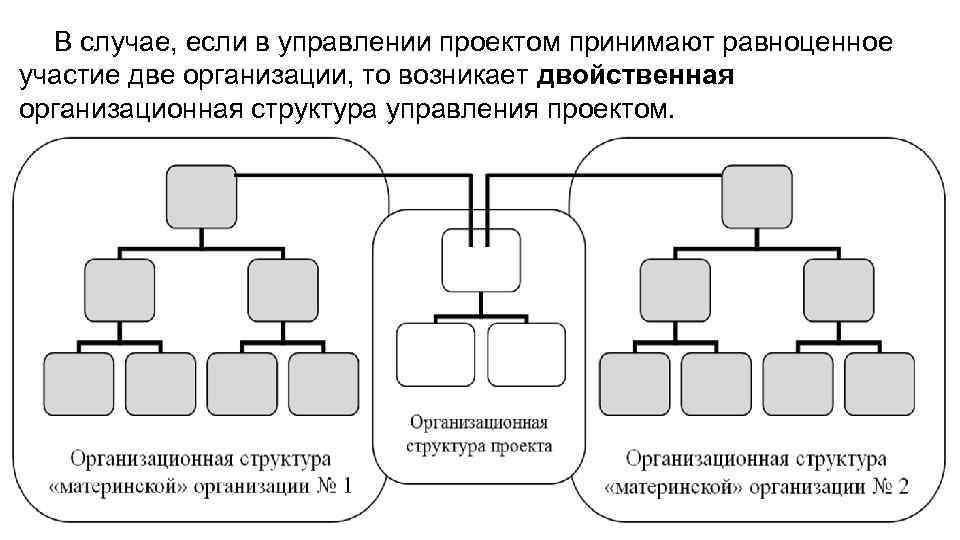 В случае, если в управлении проектом принимают равноценное участие две организации, то возникает двойственная