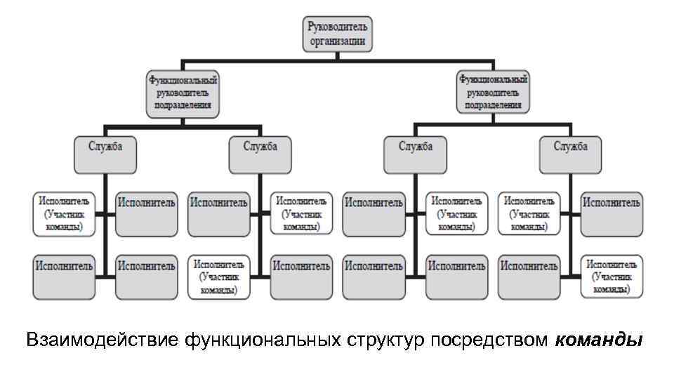 Взаимодействие функциональных структур посредством команды 