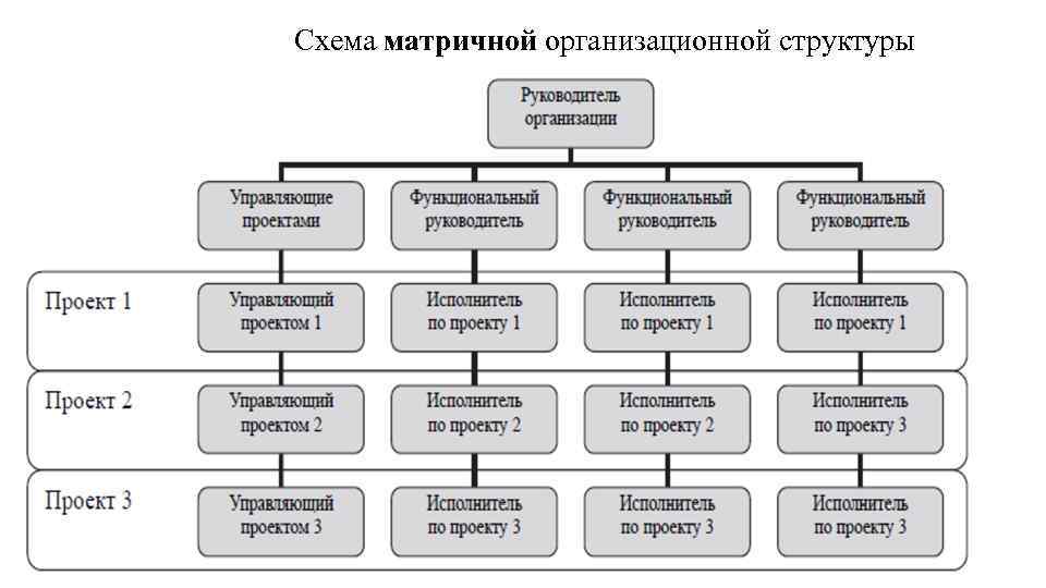 Руководитель проекта кому подчиняется