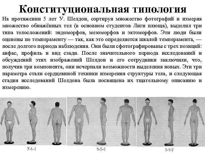 Конституциональные схемы шелдона